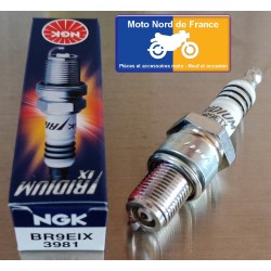 Spark plug NGK type BR9EIX