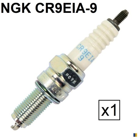 Spark plug NGK iridium type CR9EIA-9 (6289)