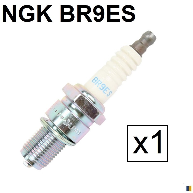 Spark plug NGK type BR9ES (5722)