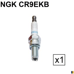 Bougie d'allumage NGK type CR9EKB (2305)