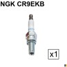 Spark plug NGK CR9EKB - BMW G450 X 2008-2011