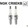 2 spark plugs NGK CR8EKB - Aprilia SMV 900 Dorsoduro 2017-2019