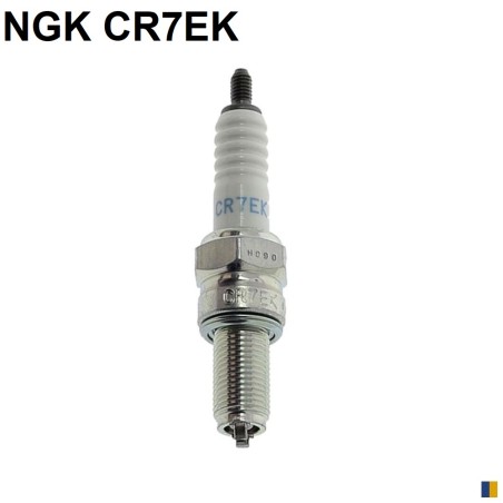 Zündkerze NGK vom Typ CR7EK (7546)