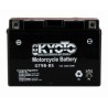 Battery KYOTO type YT9B-BS