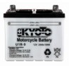 Batterie KYOTO type U1R-9
